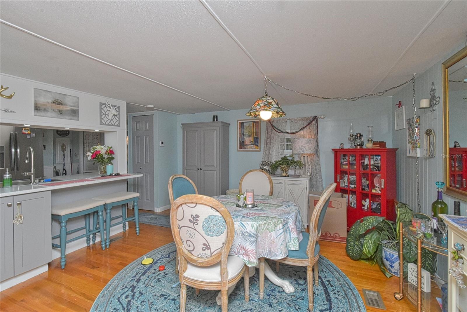9490 NE 306TH AVE, SALT SPRINGS, FL, 32134