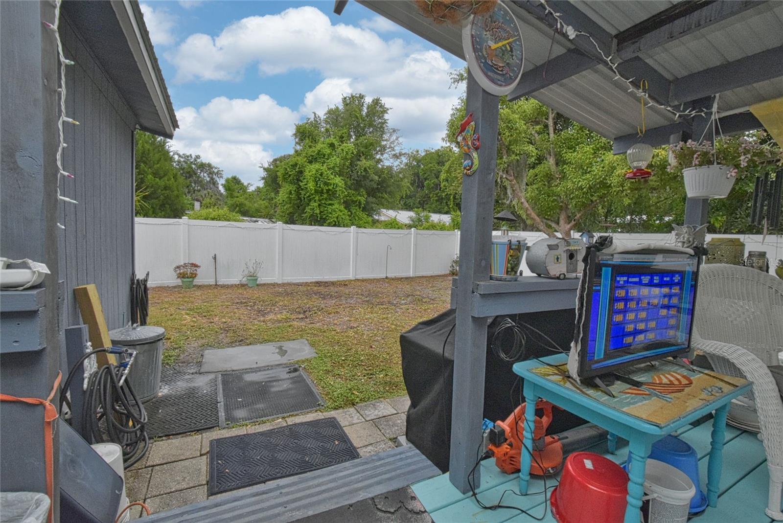 9490 NE 306TH AVE, SALT SPRINGS, FL, 32134