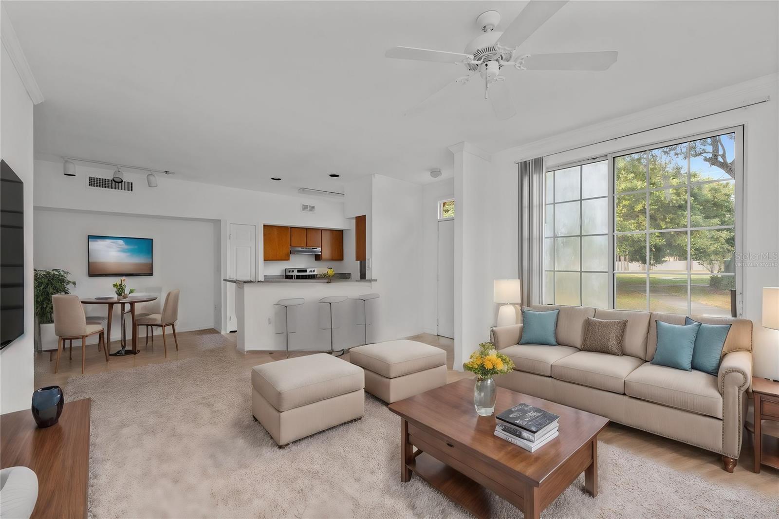 10590 WINDSOR LAKE CT #0, TAMPA, FL, 33626