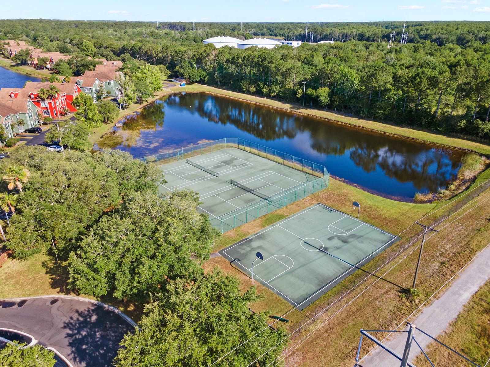 10590 WINDSOR LAKE CT #0, TAMPA, FL, 33626