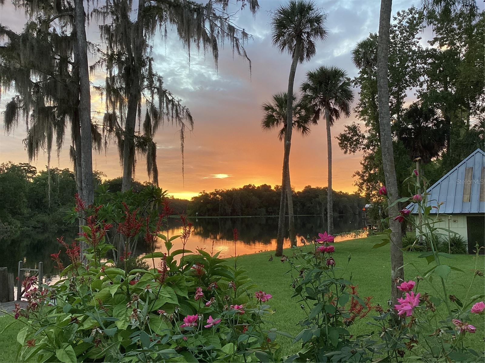 24117 MINK RD, ASTOR, FL, 32102