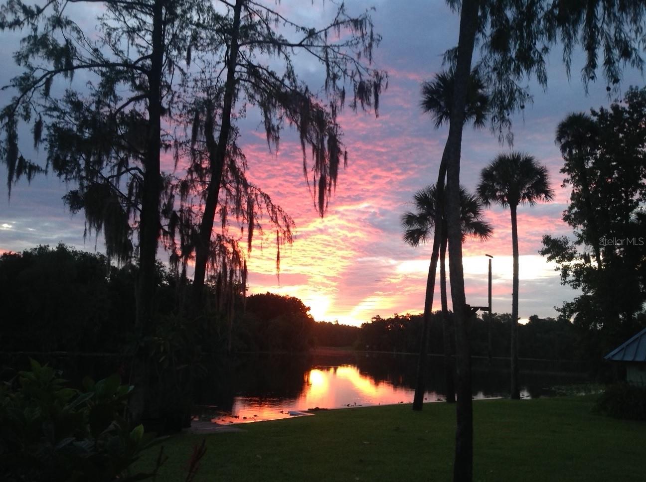 24117 MINK RD, ASTOR, FL, 32102