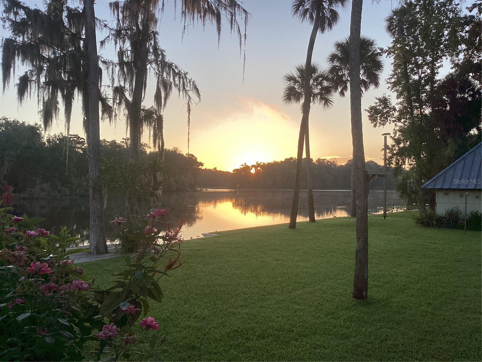 24117 MINK RD, ASTOR, FL, 32102