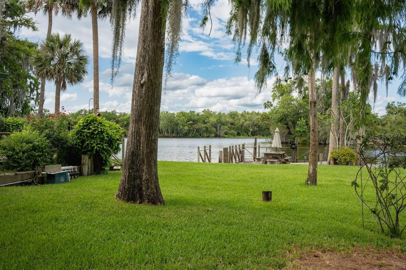 24117 MINK RD, ASTOR, FL, 32102
