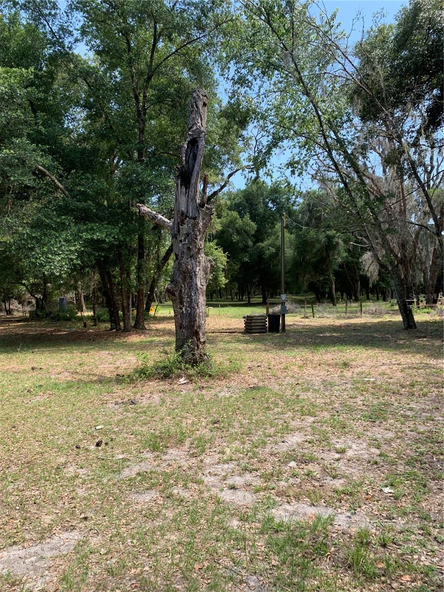 8707 FRANKLIN RD, PLANT CITY, FL, 33565