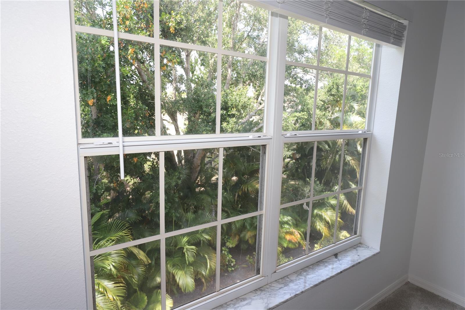 PINESTONE AT PALMER RANCH, SARASOTA, FL, 34238