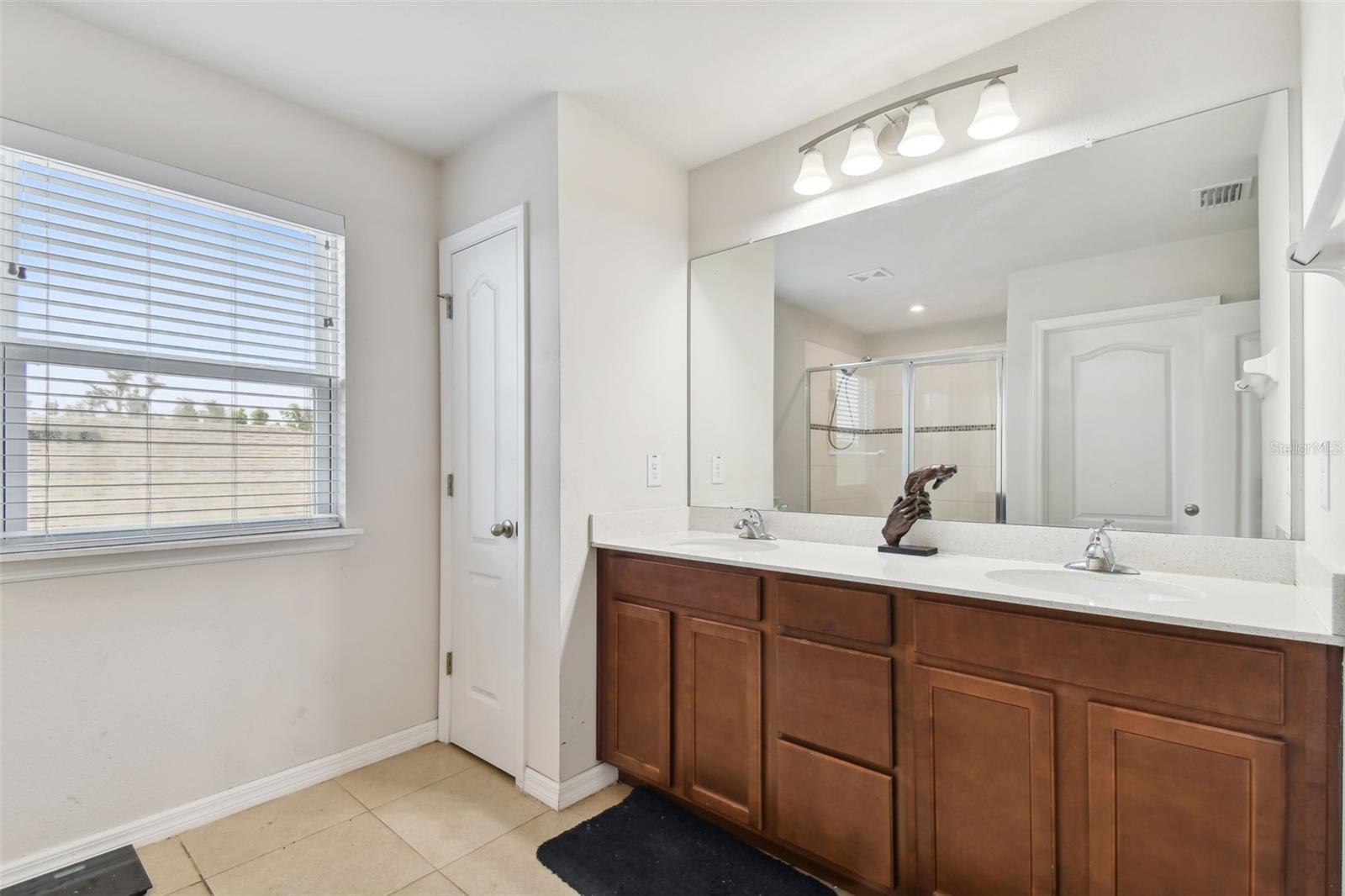 10460 HAWKS LANDING DR, LAND O LAKES, FL, 34638