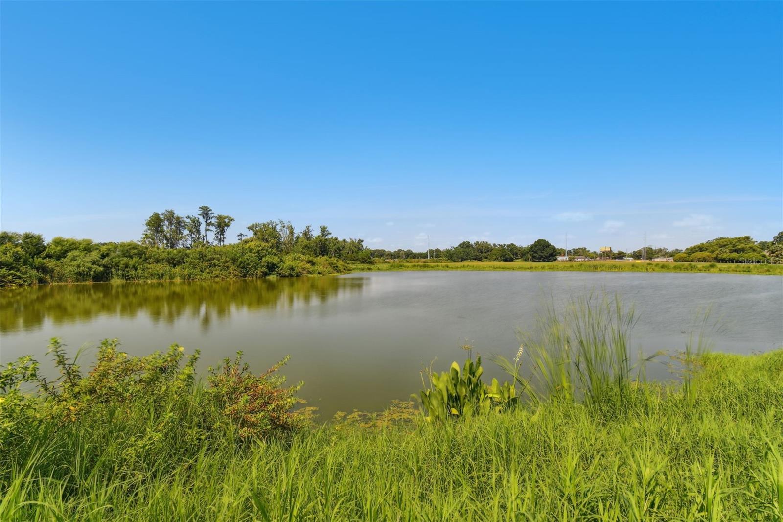 10460 HAWKS LANDING DR, LAND O LAKES, FL, 34638