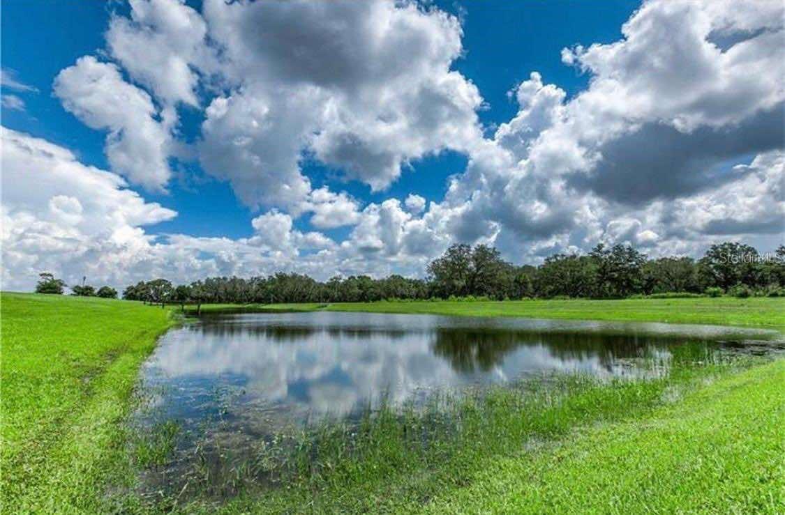 12607 FLATWOOD CREEK DR, GIBSONTON, FL, 33534