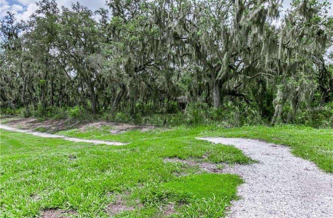 12607 FLATWOOD CREEK DR, GIBSONTON, FL, 33534