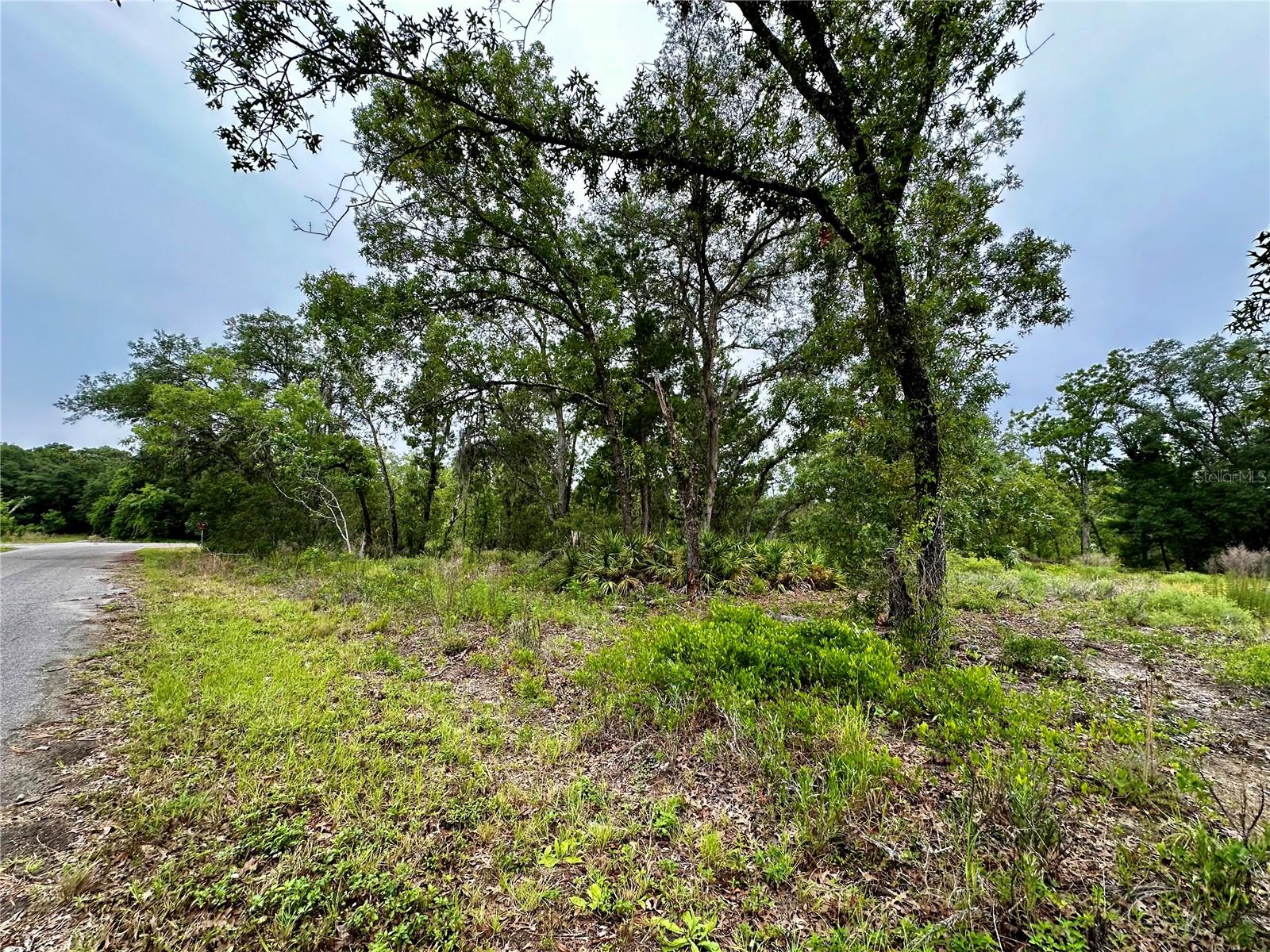 Lot 2 GUAVA PL, OCKLAWAHA, FL, 32179