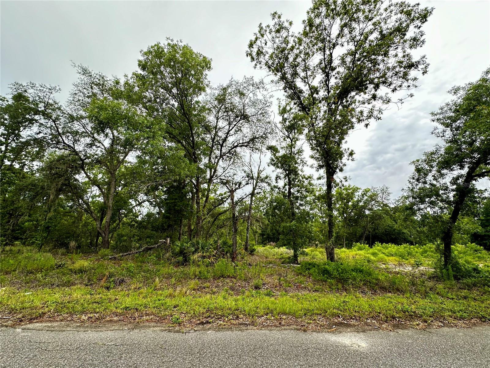 Lot 2 GUAVA PL, OCKLAWAHA, FL, 32179