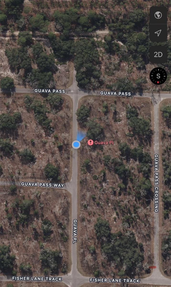 Lot 2 GUAVA PL, OCKLAWAHA, FL, 32179