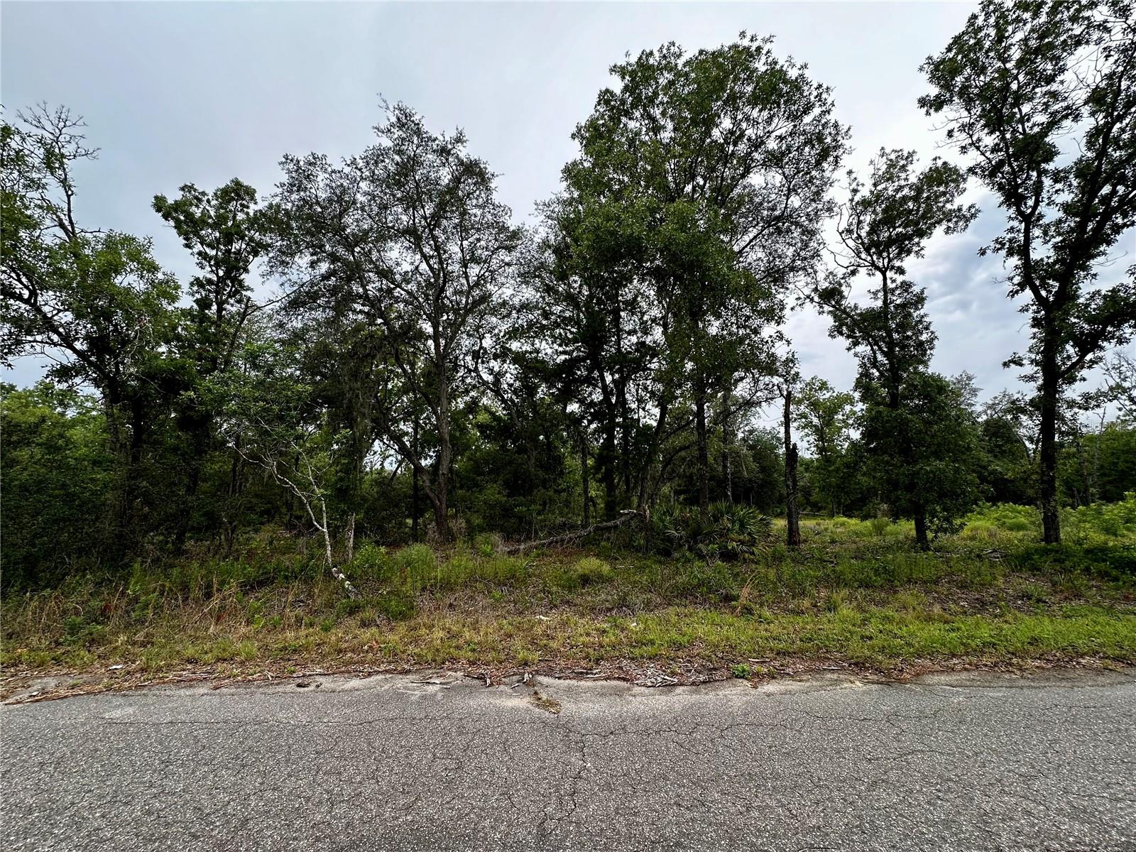 Lot 2 GUAVA PL, OCKLAWAHA, FL, 32179