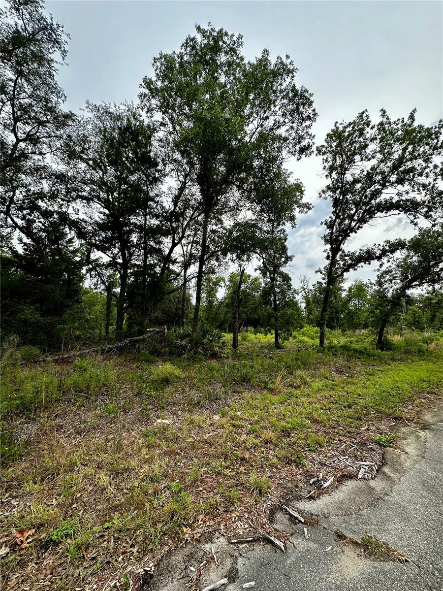 Lot 2 GUAVA PL, OCKLAWAHA, FL, 32179