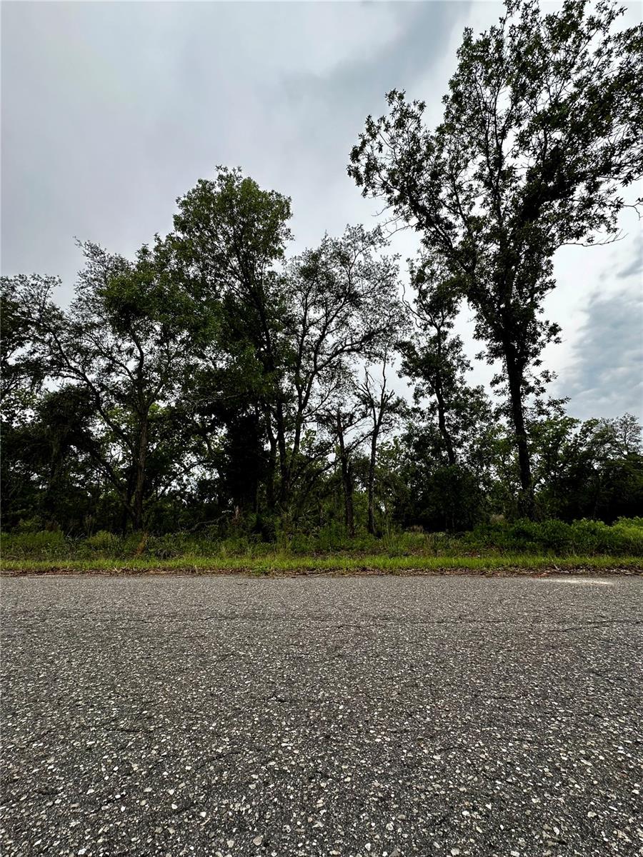 Lot 2 GUAVA PL, OCKLAWAHA, FL, 32179