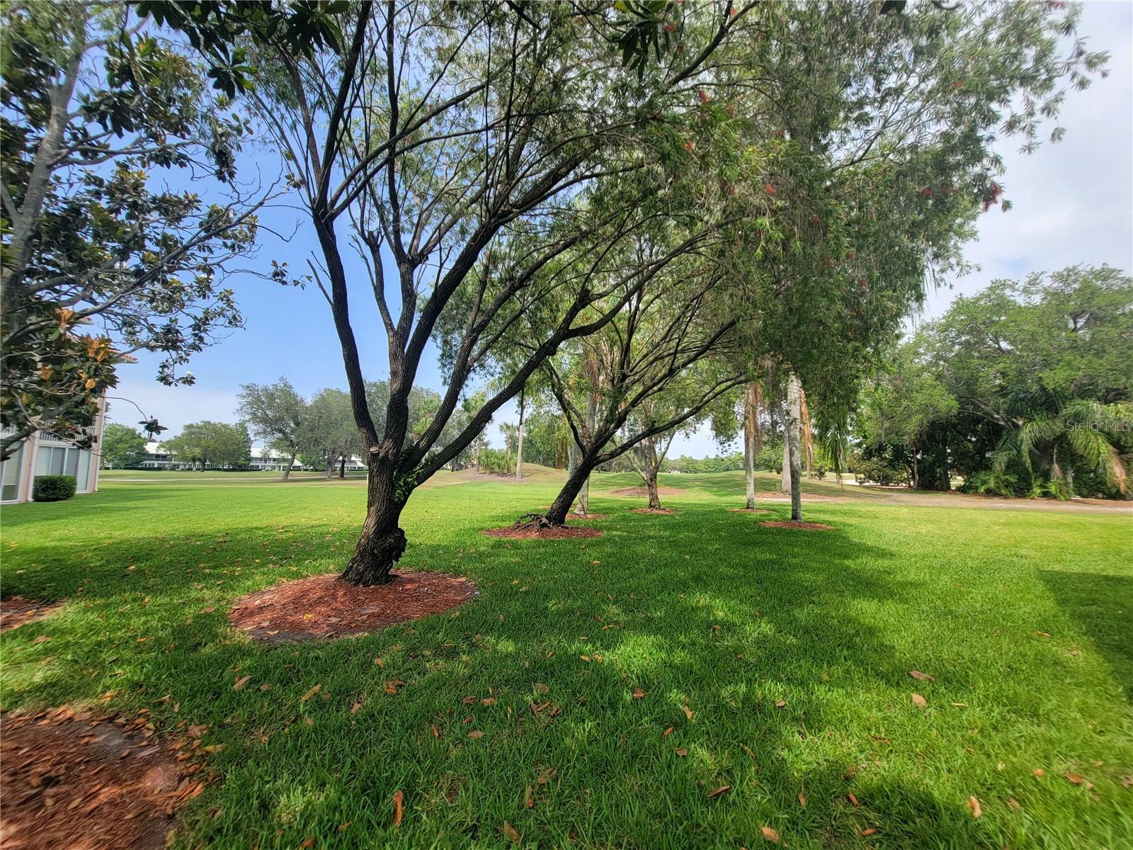 6507 STONE RIVER RD #302, BRADENTON, FL, 34203