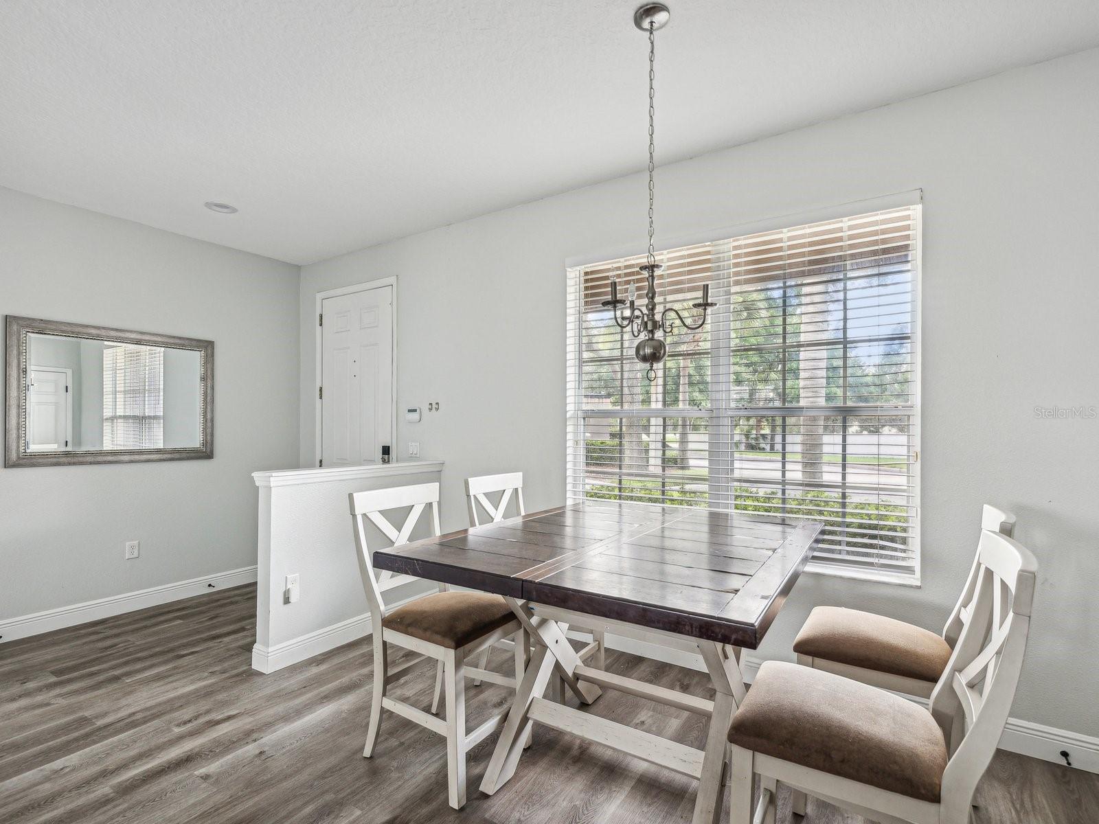 11501 DECLARATION DR, TAMPA, FL, 33635