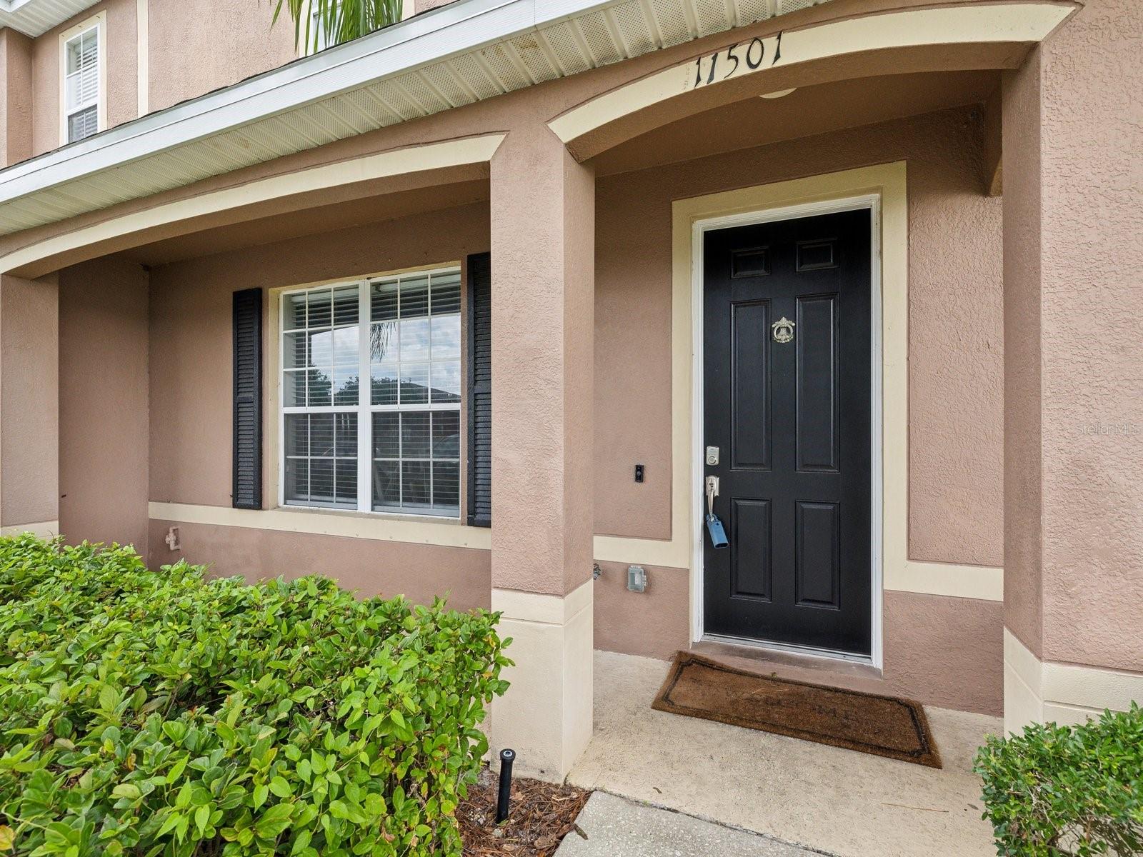 11501 DECLARATION DR, TAMPA, FL, 33635