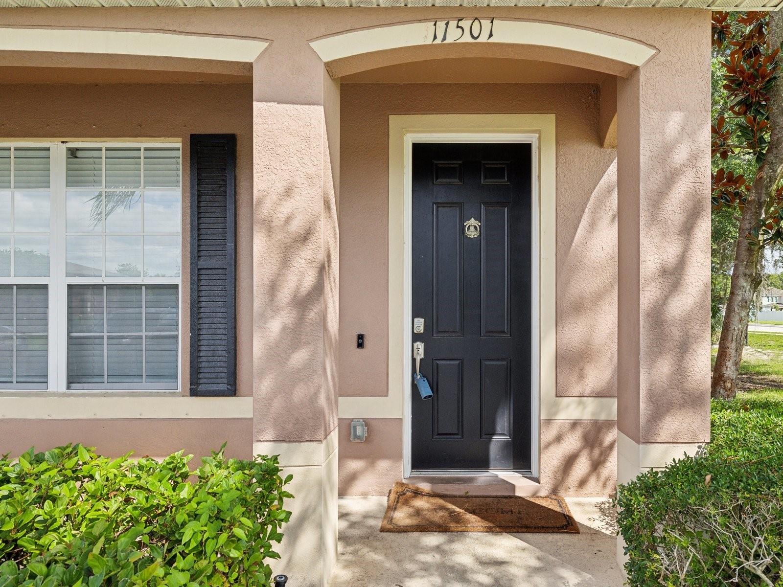 11501 DECLARATION DR, TAMPA, FL, 33635