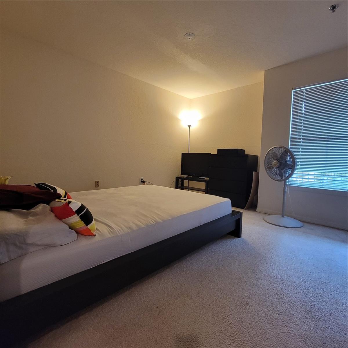 8516 ISLAND BREEZE LN #205, TEMPLE TERRACE, FL, 33637