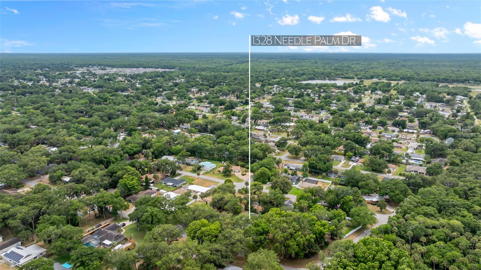 1328 NEEDLE PALM DR, EDGEWATER, FL, 32132