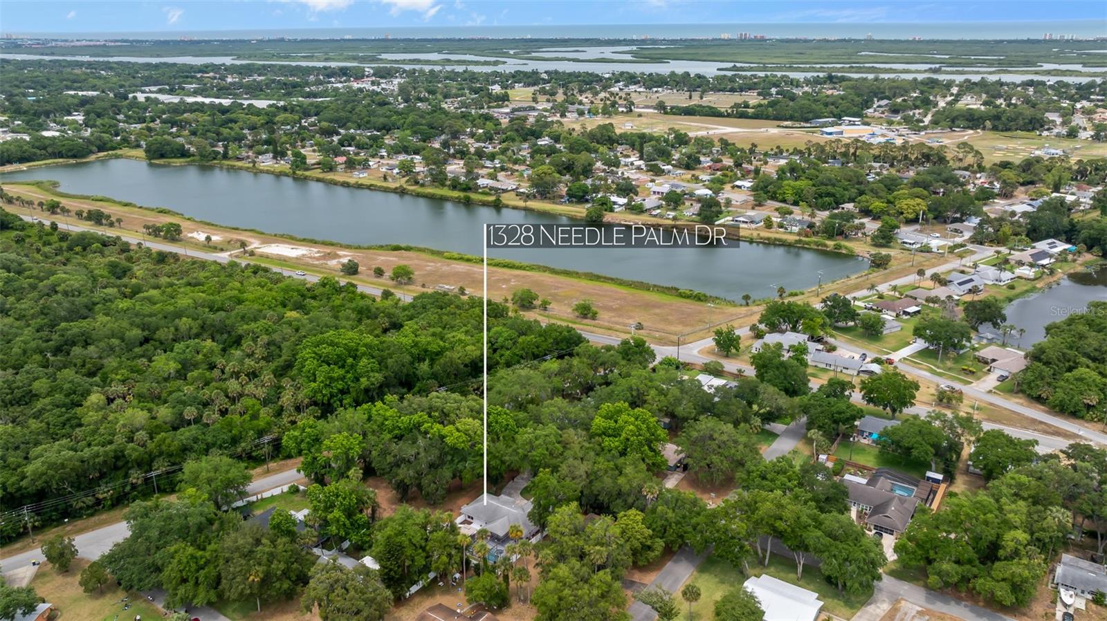 1328 NEEDLE PALM DR, EDGEWATER, FL, 32132