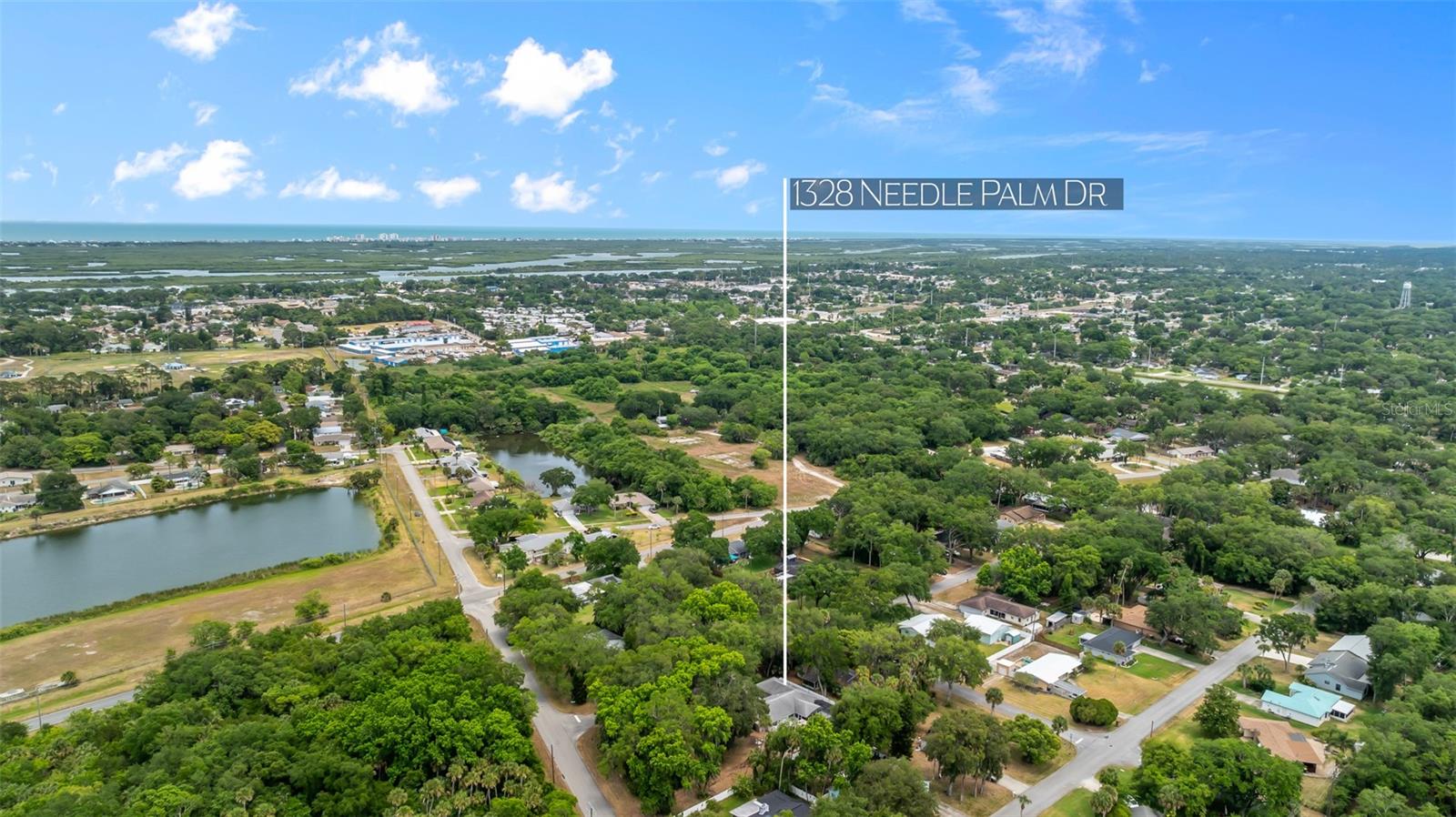 1328 NEEDLE PALM DR, EDGEWATER, FL, 32132