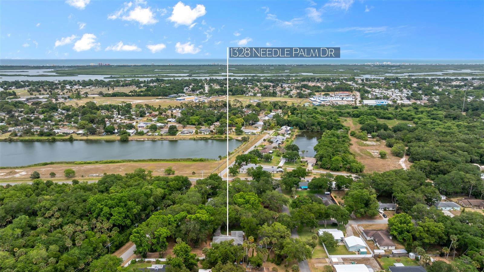 1328 NEEDLE PALM DR, EDGEWATER, FL, 32132