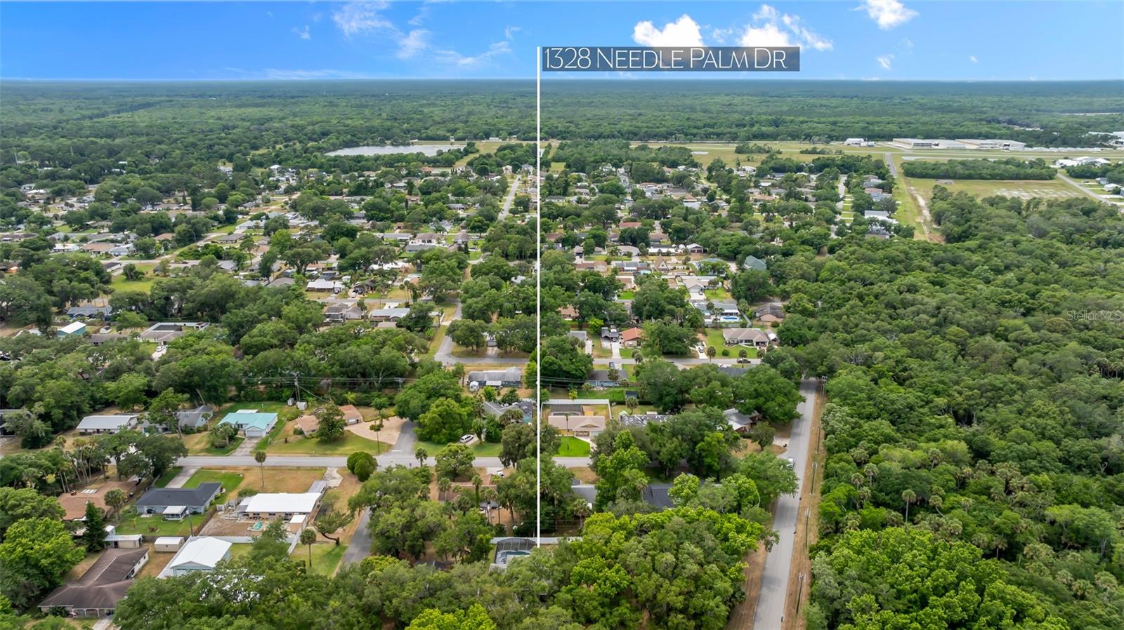 1328 NEEDLE PALM DR, EDGEWATER, FL, 32132