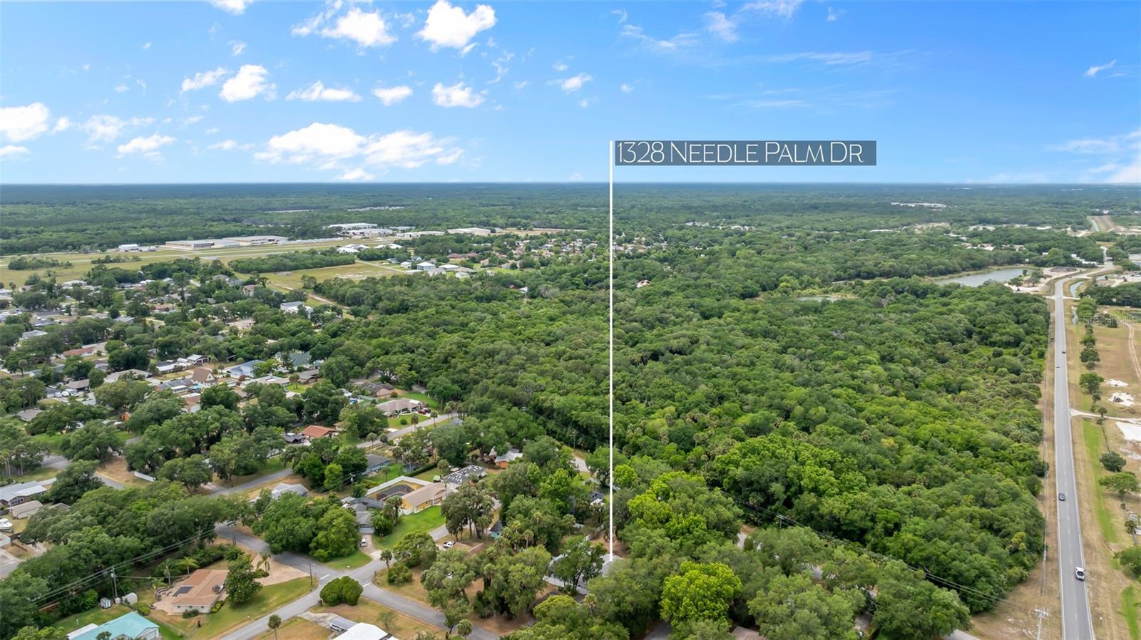 1328 NEEDLE PALM DR, EDGEWATER, FL, 32132