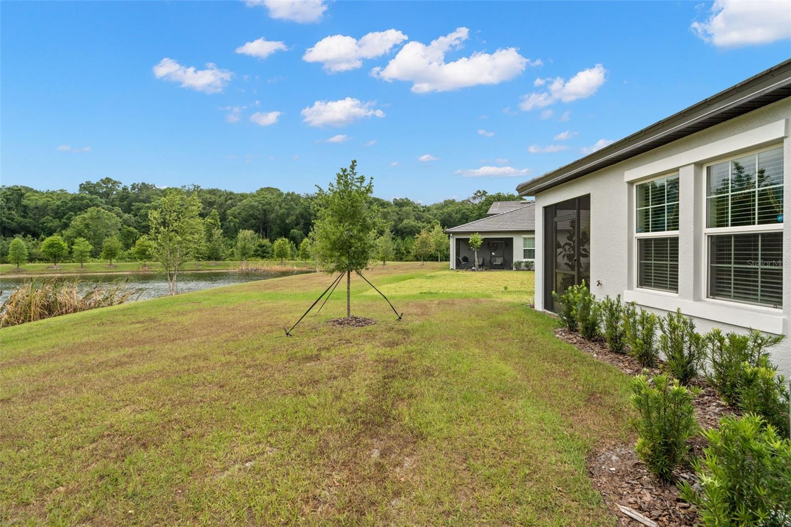 16683 SHELL BAY DR, LAND O LAKES, FL, 34638
