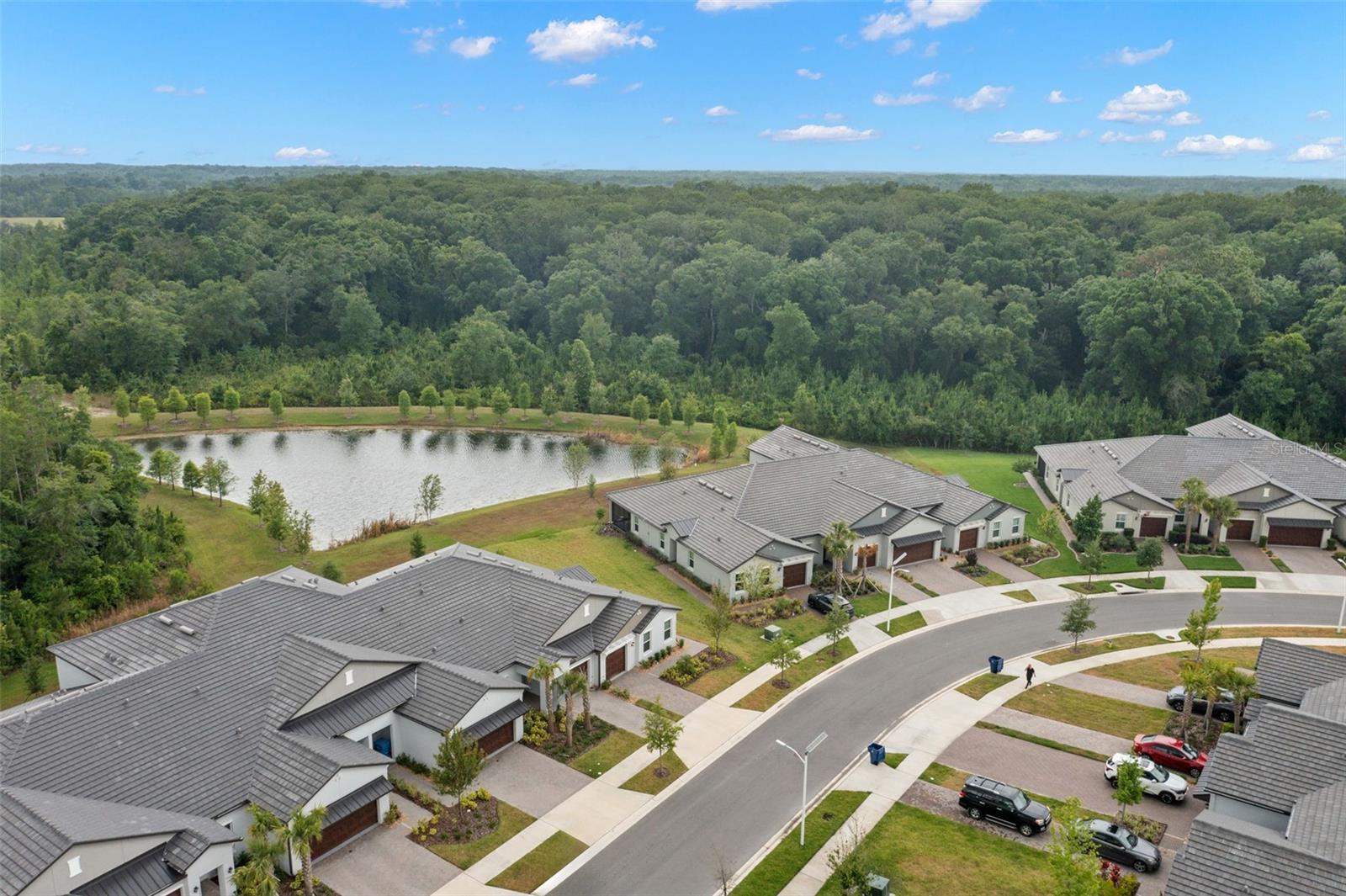 16683 SHELL BAY DR, LAND O LAKES, FL, 34638