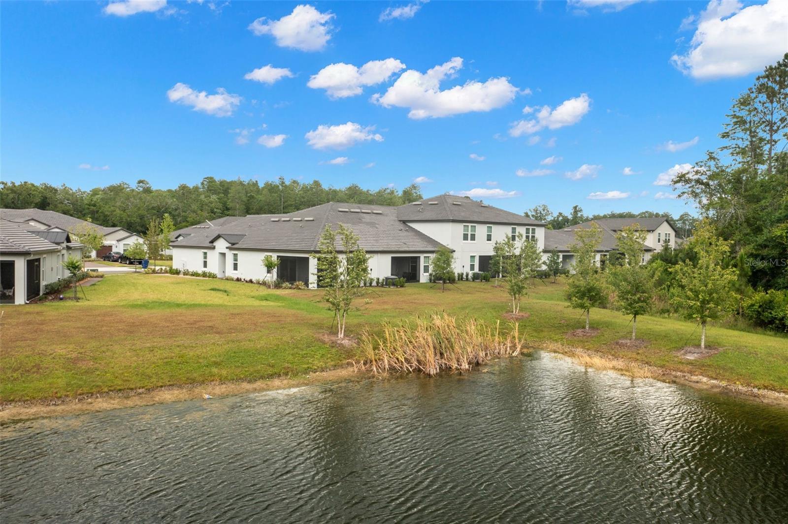 16683 SHELL BAY DR, LAND O LAKES, FL, 34638