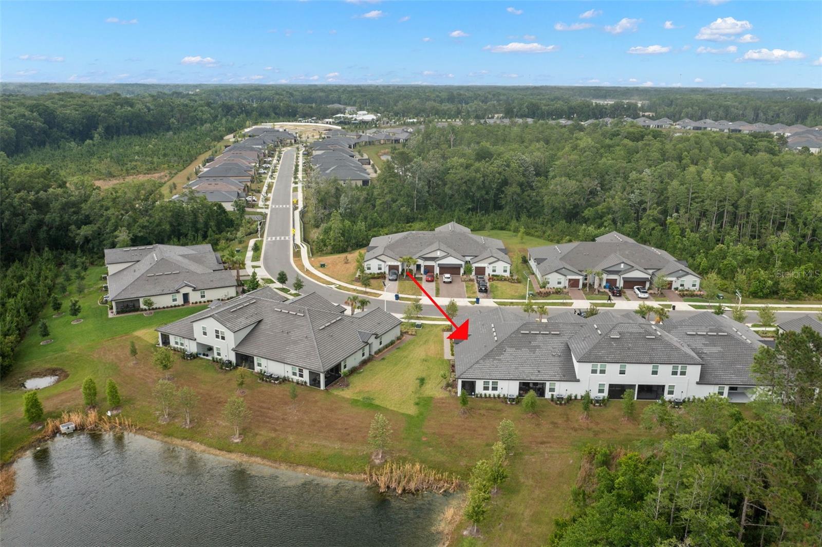 16683 SHELL BAY DR, LAND O LAKES, FL, 34638