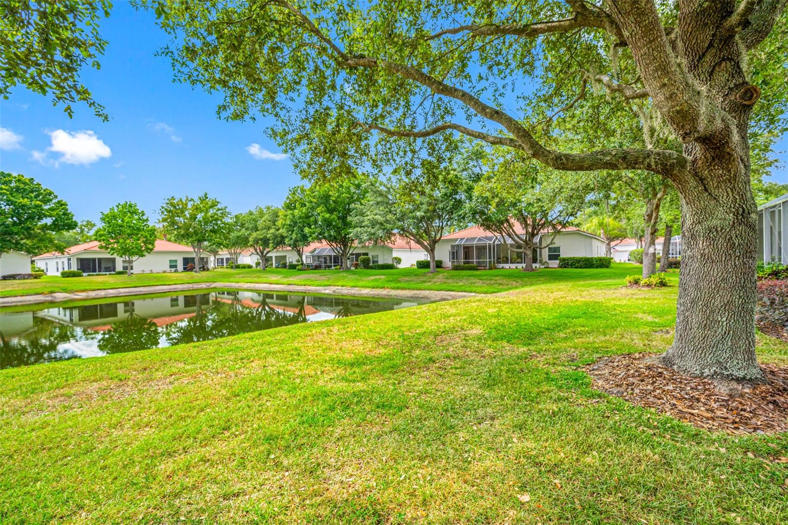 10255 DEVONSHIRE LAKE DR, TAMPA, FL, 33647