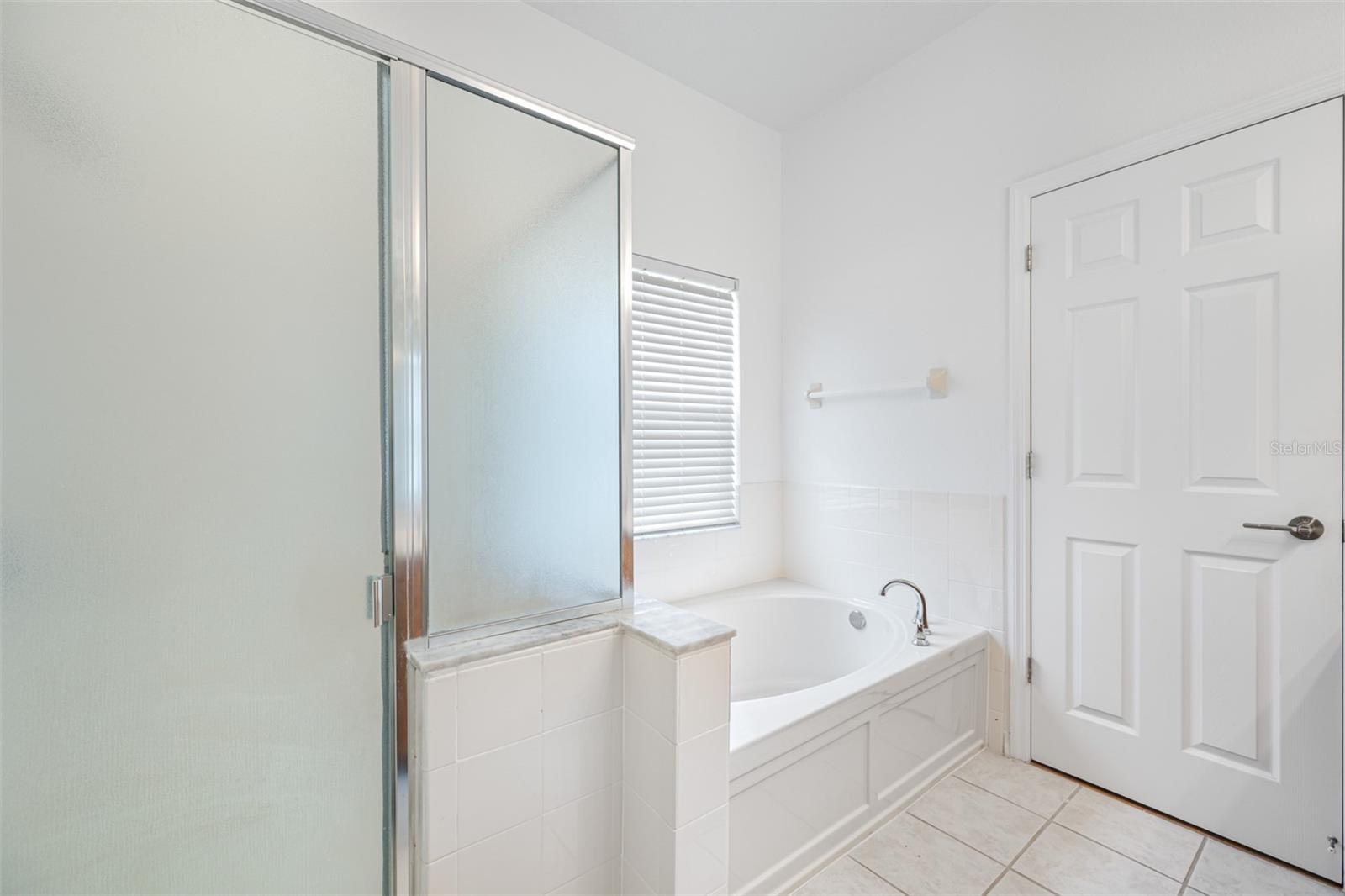 10255 DEVONSHIRE LAKE DR, TAMPA, FL, 33647