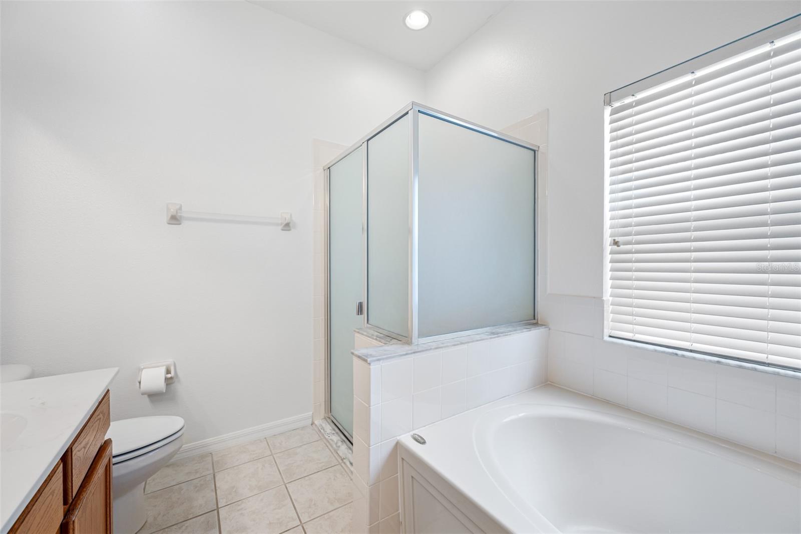 10255 DEVONSHIRE LAKE DR, TAMPA, FL, 33647