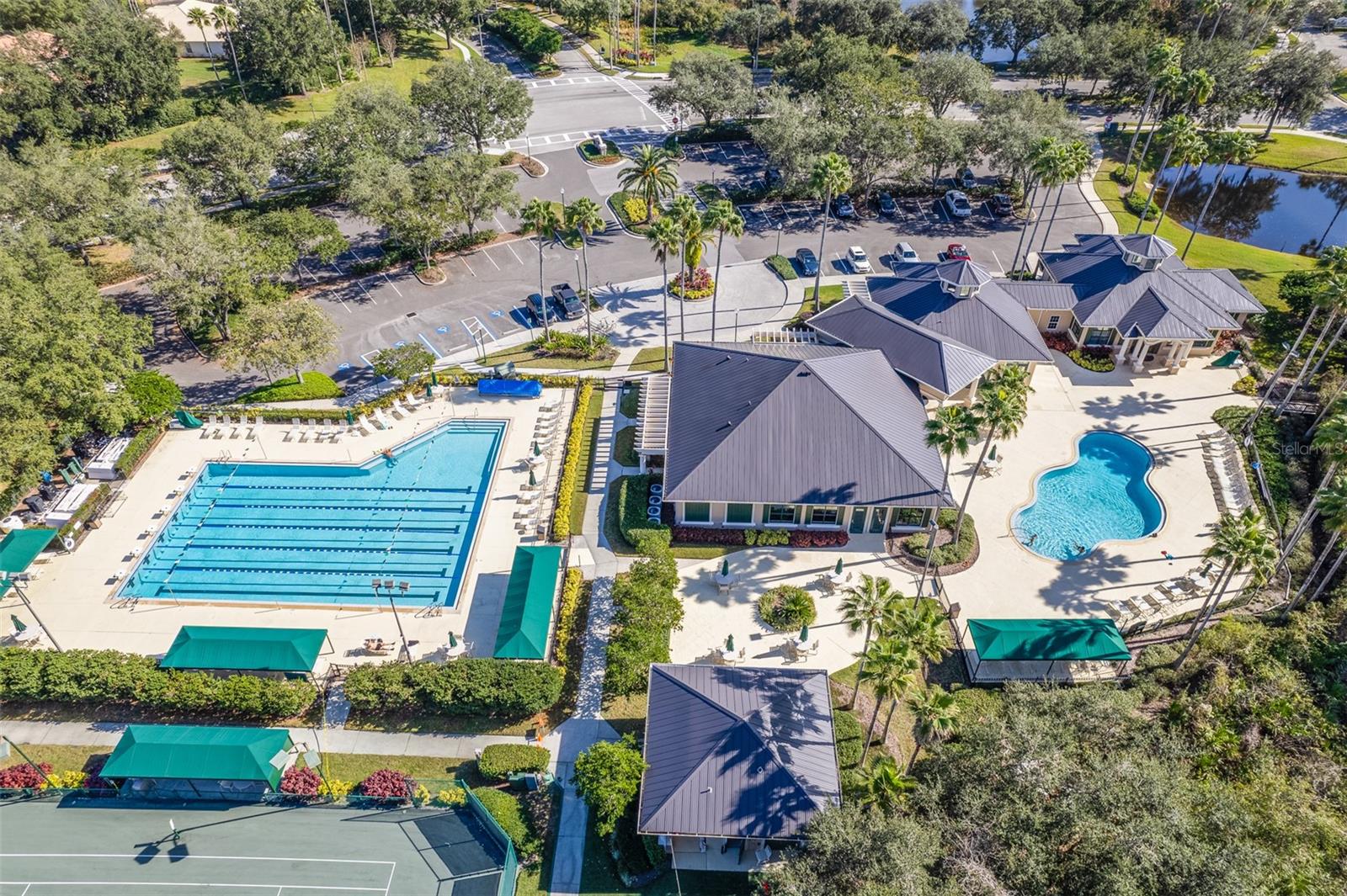 10255 DEVONSHIRE LAKE DR, TAMPA, FL, 33647