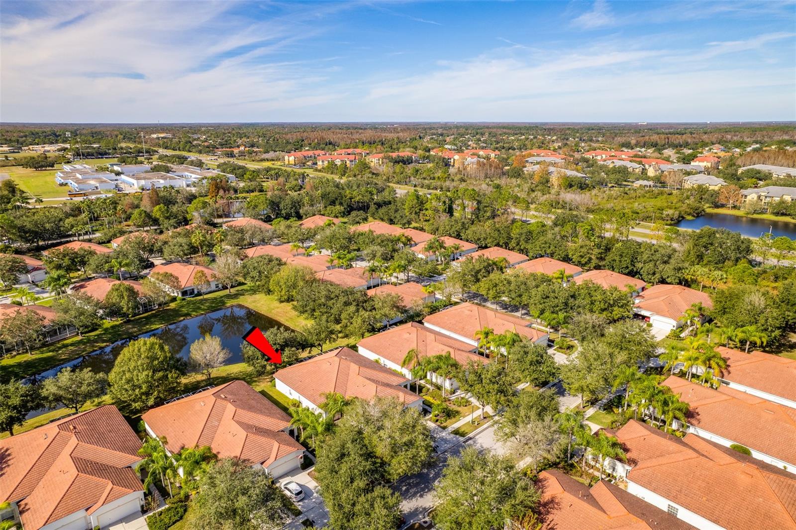 10255 DEVONSHIRE LAKE DR, TAMPA, FL, 33647