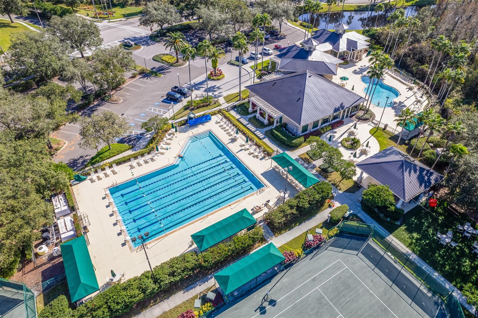 10255 DEVONSHIRE LAKE DR, TAMPA, FL, 33647