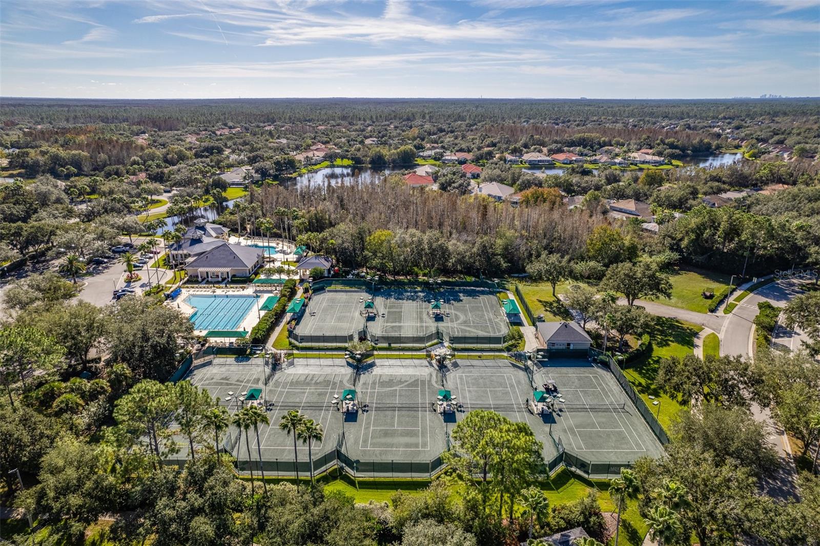 10255 DEVONSHIRE LAKE DR, TAMPA, FL, 33647