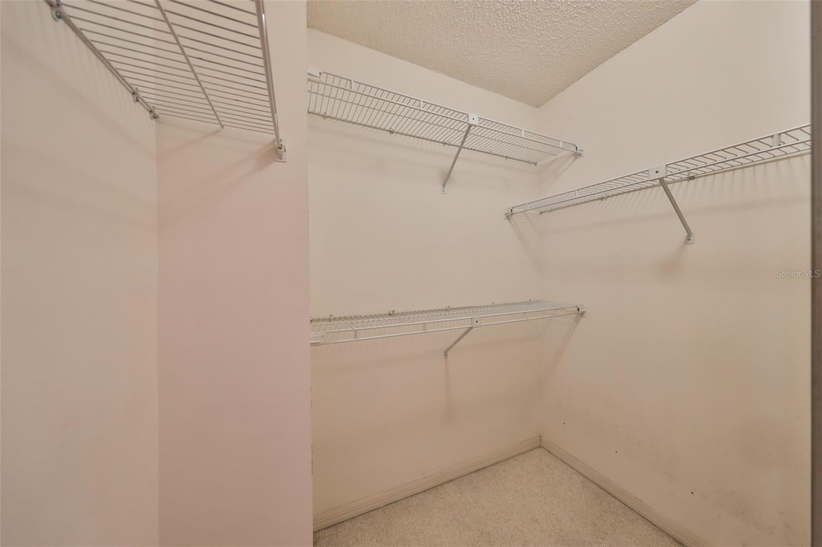 5203 BAYSHORE BLVD #6, TAMPA, FL, 33611