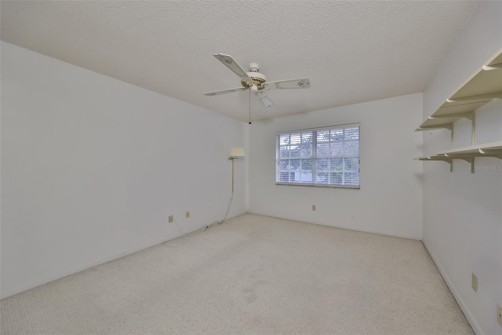 5203 BAYSHORE BLVD #6, TAMPA, FL, 33611