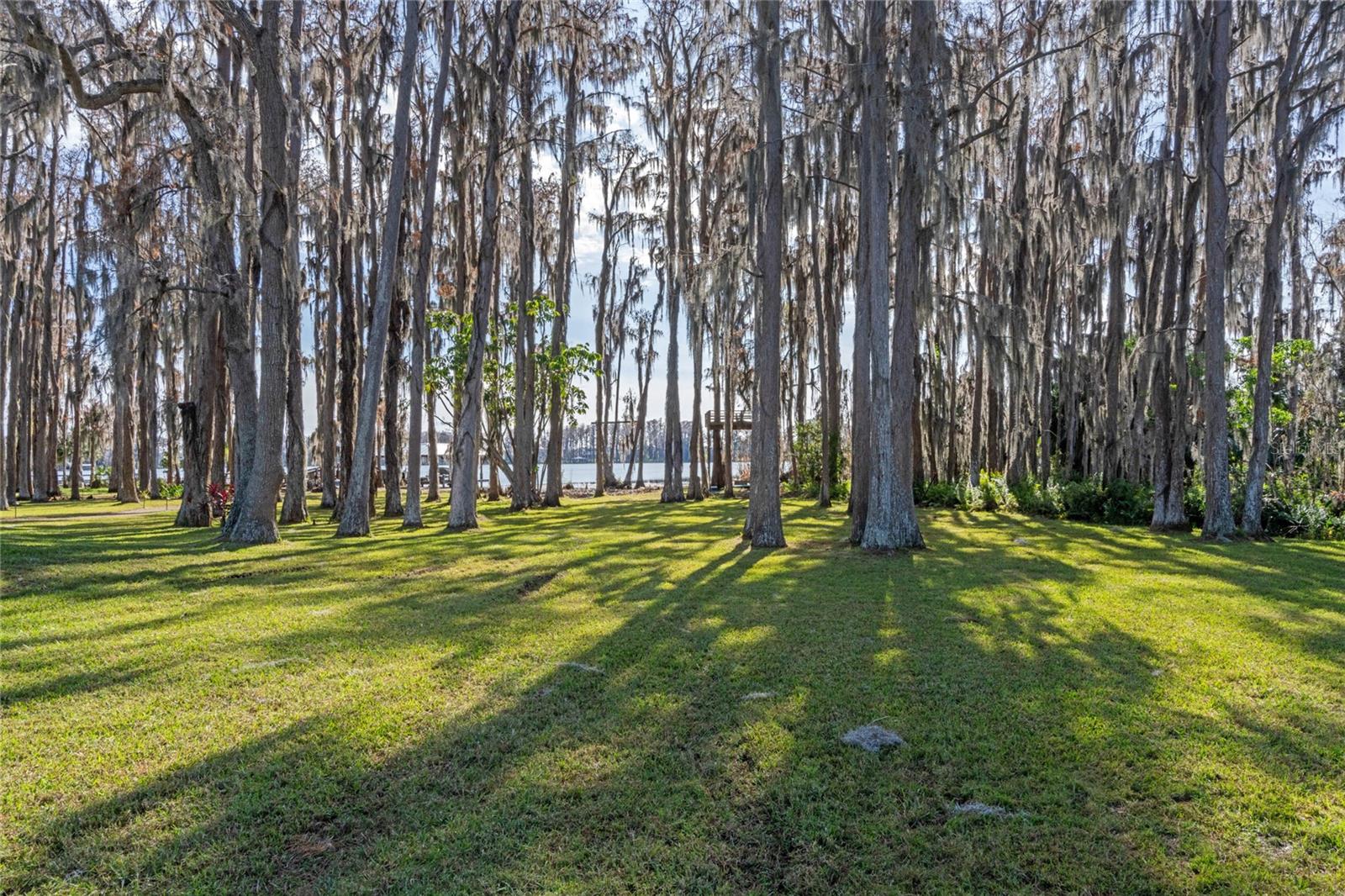 1126 KELSO BLVD, WINDERMERE, FL, 34786