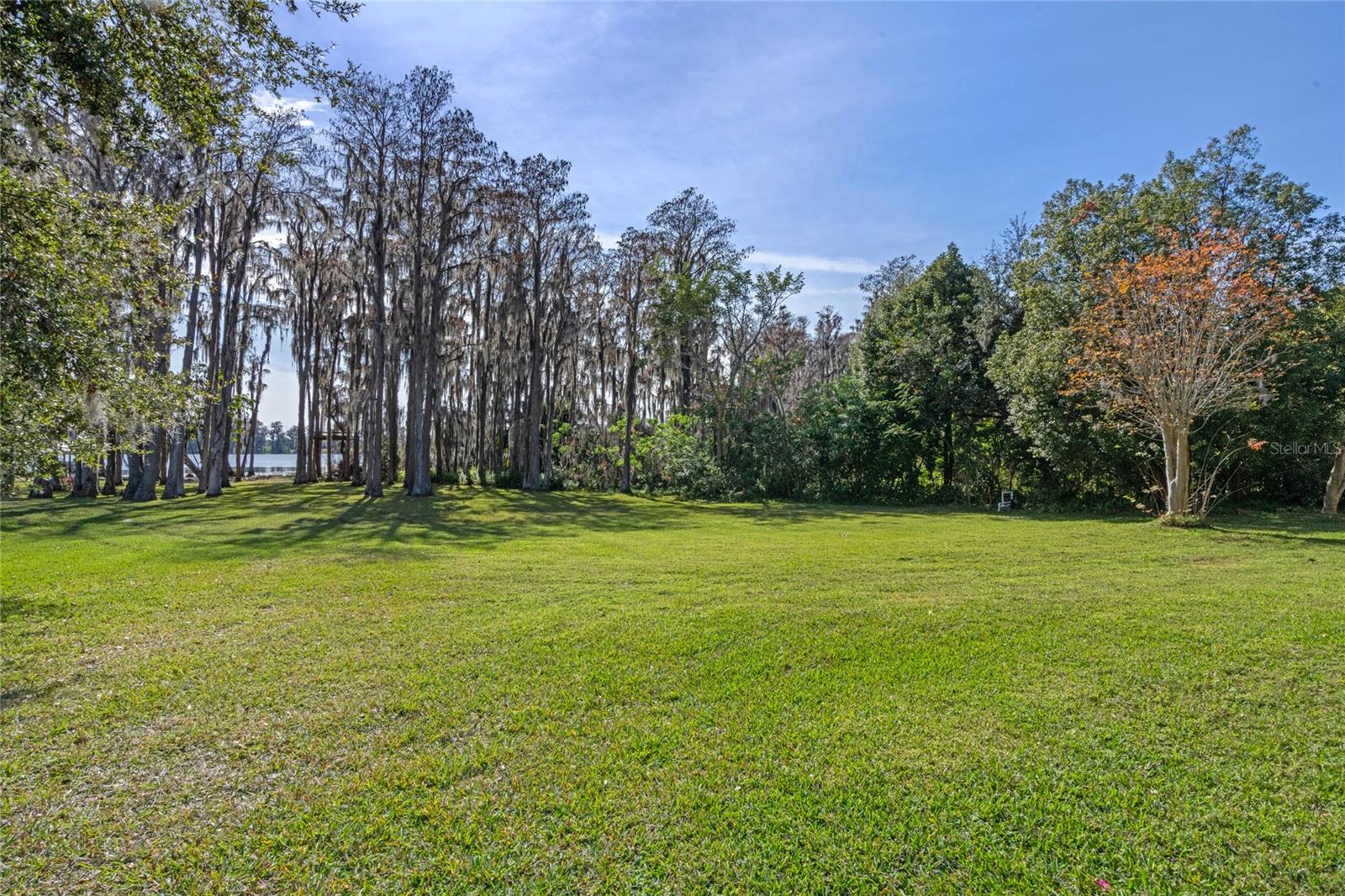 1126 KELSO BLVD, WINDERMERE, FL, 34786