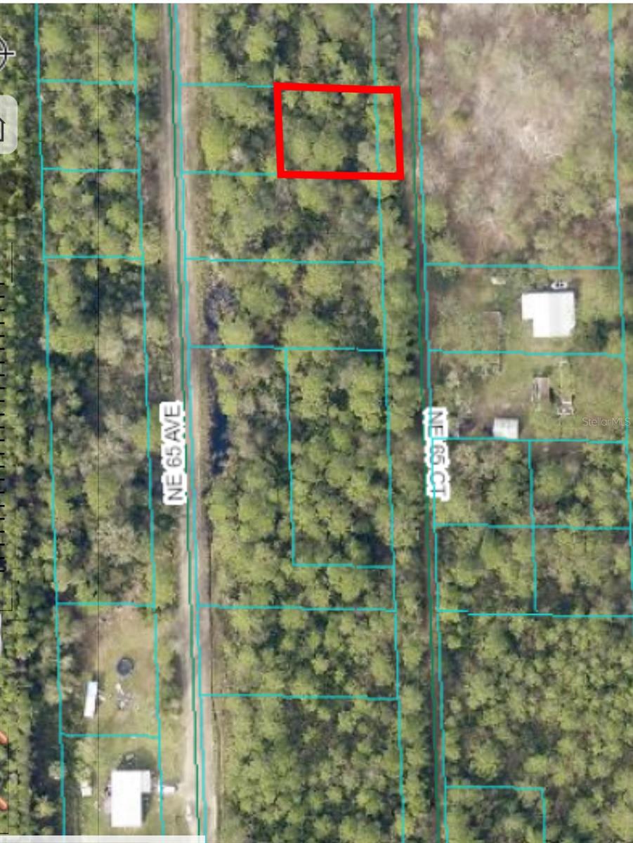 00 NE 65TH CT #Lot 49, CITRA, FL, 32113