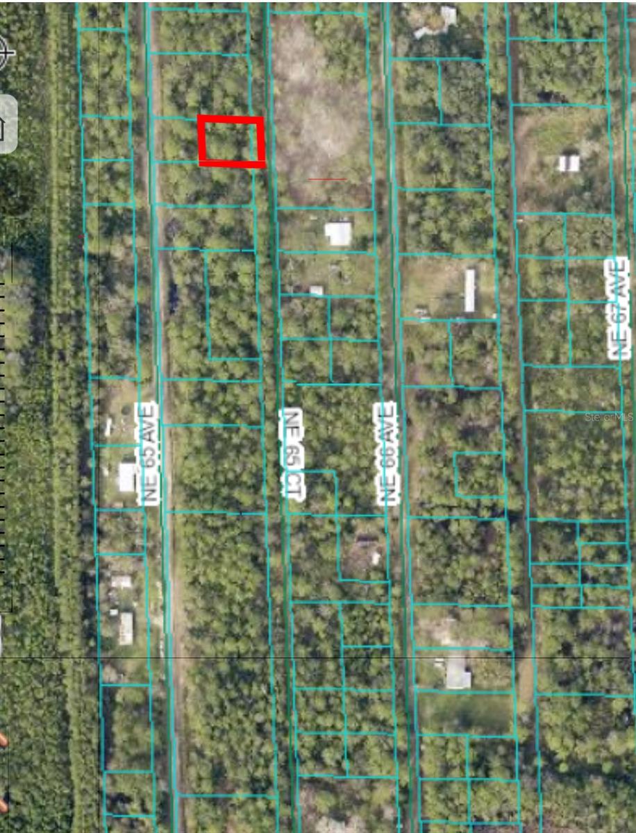 00 NE 65TH CT #Lot 49, CITRA, FL, 32113