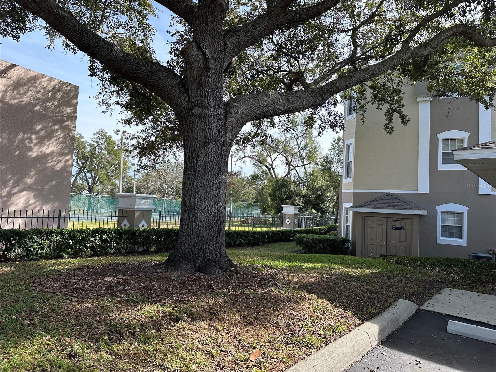 584 BRANTLEY TERRACE WAY #305, ALTAMONTE SPRINGS, FL, 32714