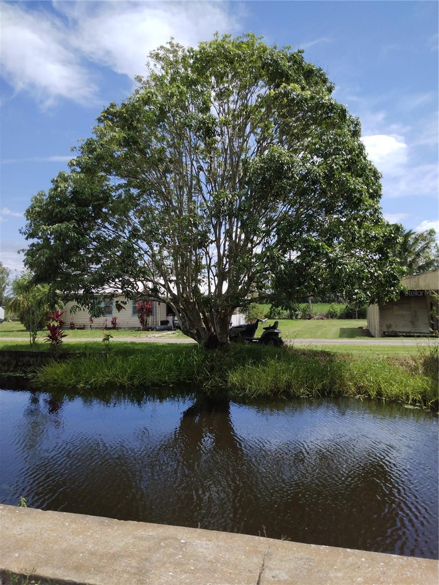 3 PEACEFUL PL, LORIDA, FL, 33857